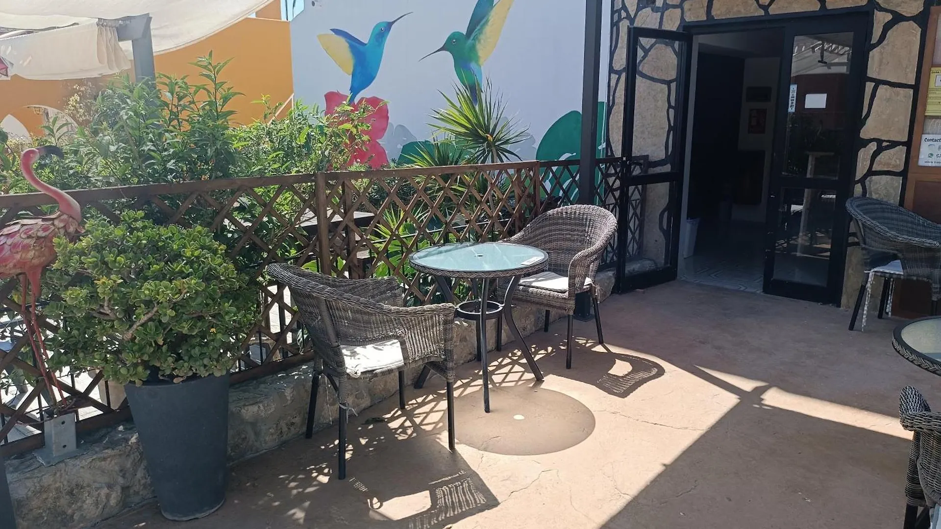 Pensjonat Hostal Belgica Palma Nova