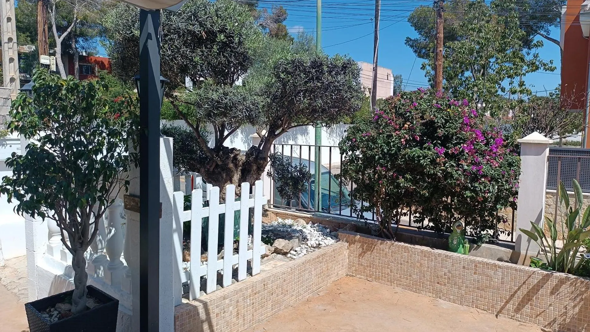 Guest house Hostal Belgica Palma Nova  Spain