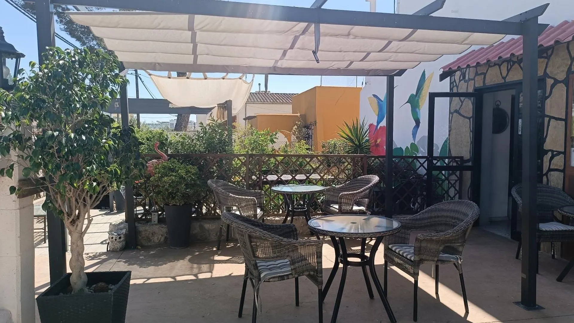 Гостевой дом Hostal Belgica Пальма Нова