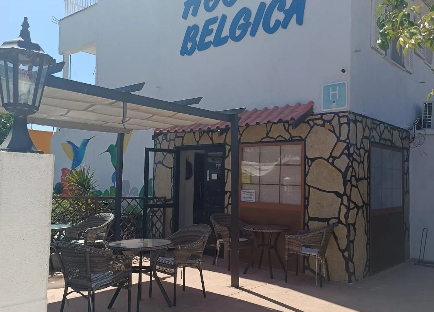 Hostal Belgica Пальма Нова